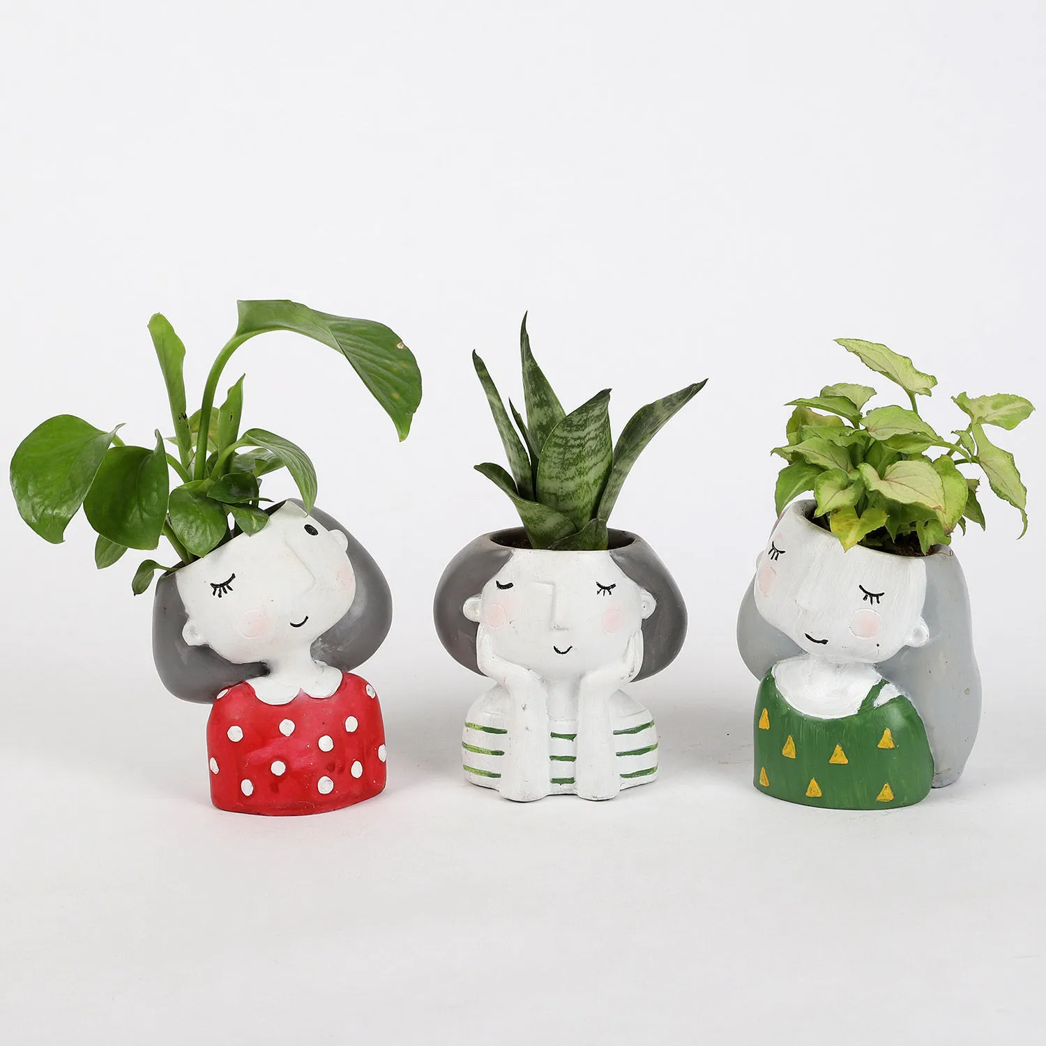 Set Of 3 Green Plants In Cute Girl Pots